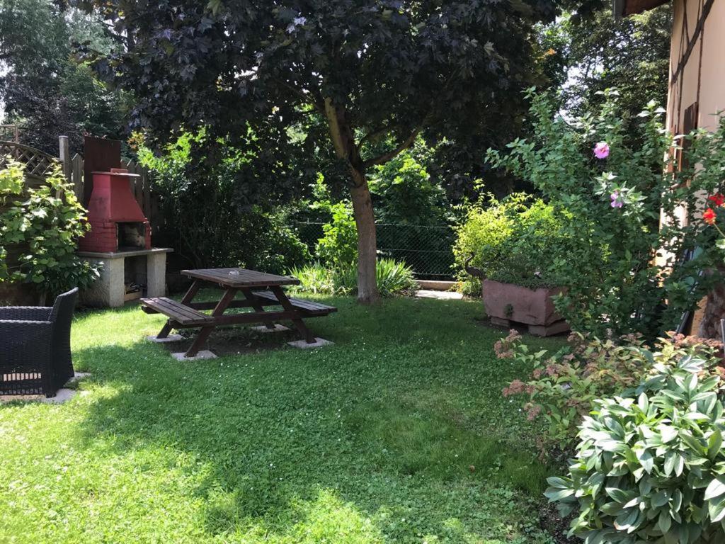 Gite De La Streng Ribeauvillé Zewnętrze zdjęcie